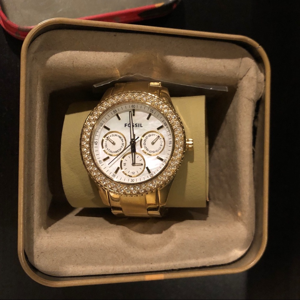 Fossil watch